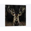 Young Buck by Liz Jardine - Wrapped Canvas Print-34181150