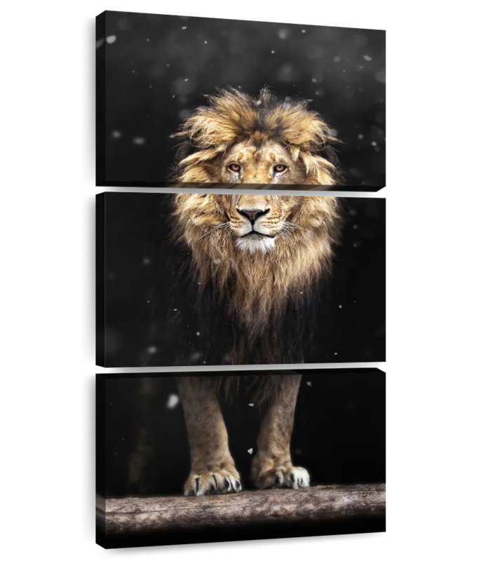 Gloomy Lion