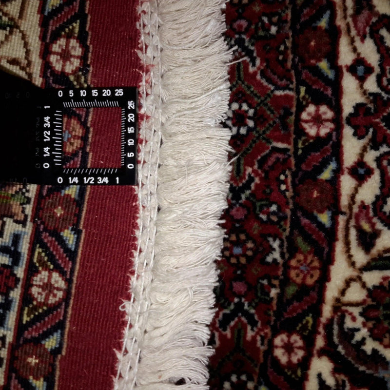 Katalynna Oriental Area Rug in Red