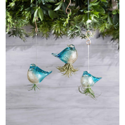 Glass Hanging Planter