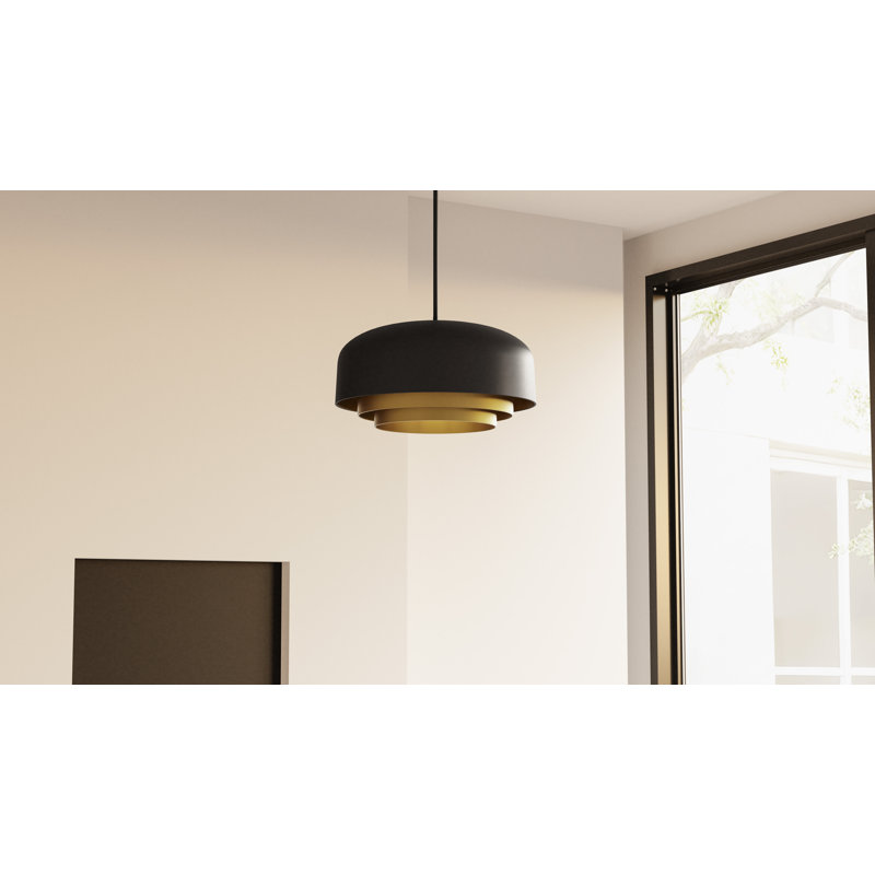 Luminaire suspendu noir mat Frankie, H 11,5 po x l 22 po x P 22 po, 4