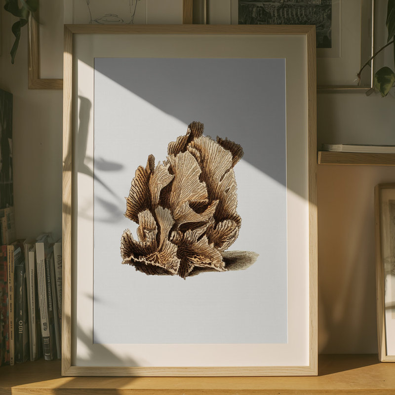 Wrapped Canvas Print, 76.2 cm H x 50.8 cm W