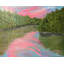 Path To Clarity Print by Alicia Lopez
