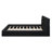 Queen Size Upholstered Platform Bed-113432570