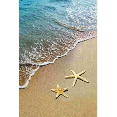 Étoile de mer double