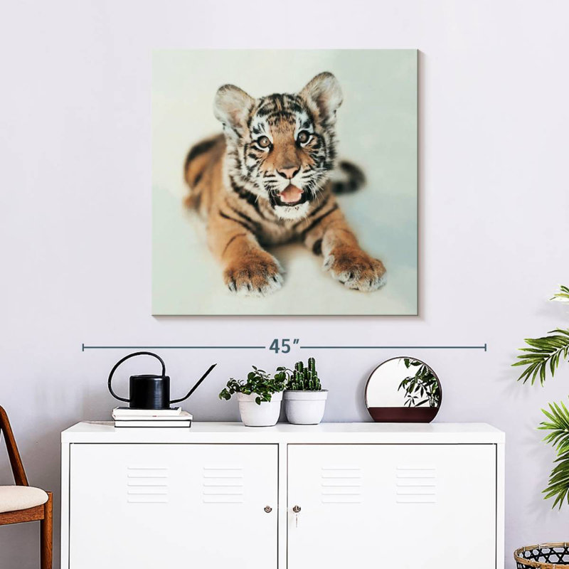Brampt Indira I, 30" H x 30" W