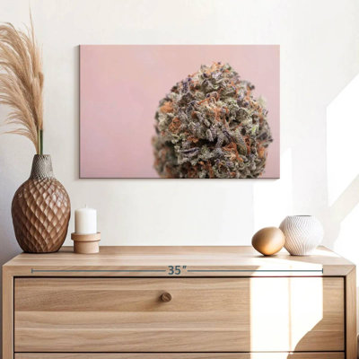 Bourgeon de marijuana
