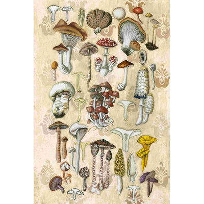 " Mycological Study " by Naomi McCavitt