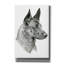 «Feral Gaze» par Darlene Pavlovich, art mural sur toile-1077727084