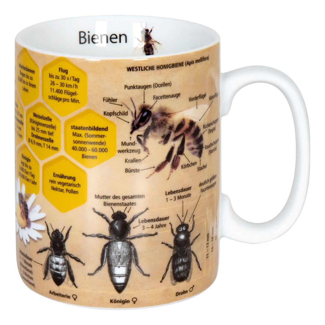 Kaffeebecher Wissen Biene