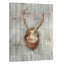 Antlers 1 by Kimberly Allen - Wrapped Canvas Print-1106605206