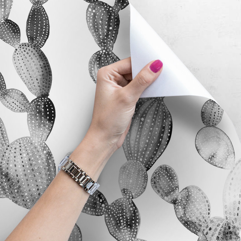 Falaise 2.5m x 2.5m Matte Wallpaper Roll, 250 x 250cm