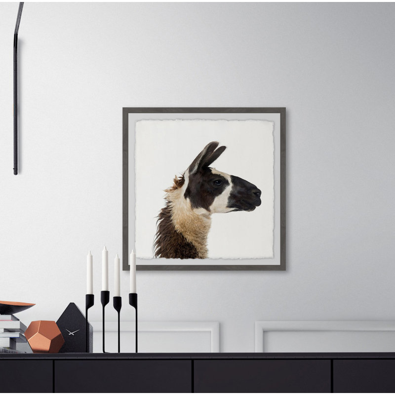 « llama profile », reproduction d’impression encadrée Aghavary, H 12 po x l 12 po