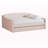 Marlee Modern Full Size Velvet Fabric Daybed in Pink, 34.71" H X 81.50'' L X 57.72'' W-1293229175-1293229174