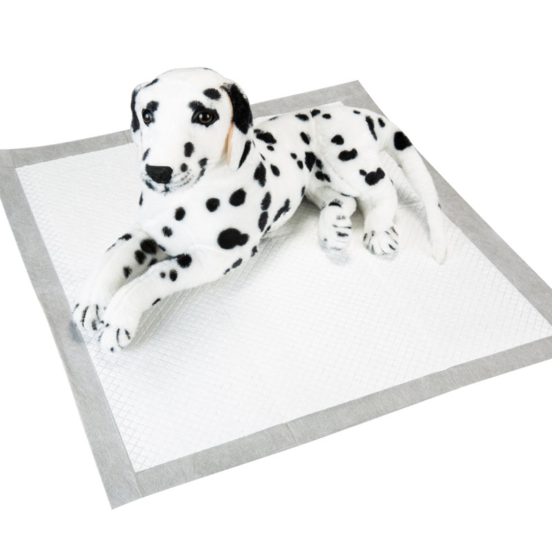 Pack de tapis d'entraînement pour chien