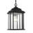 Kent One Light Outdoor Pendant from Generation Lighting -1448138798