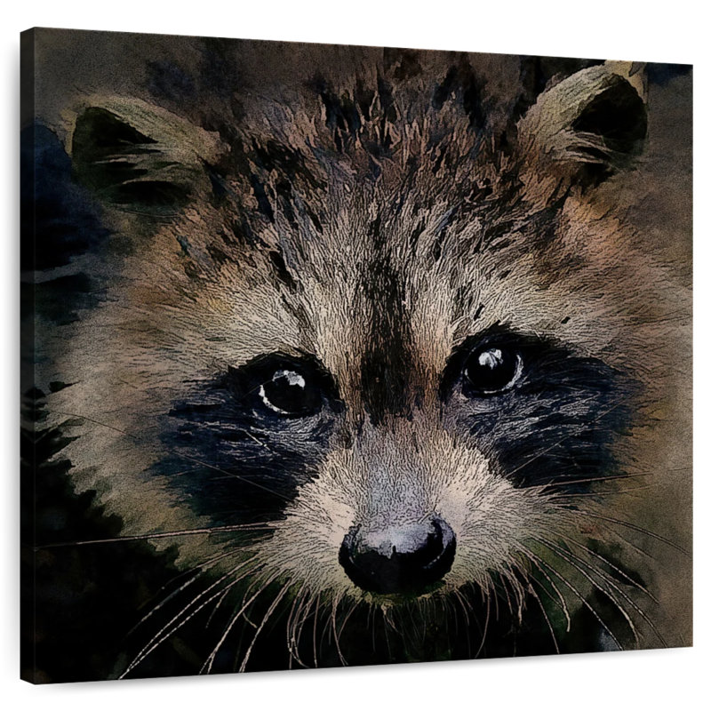 Brampt Racoon, 30" H x 30" W