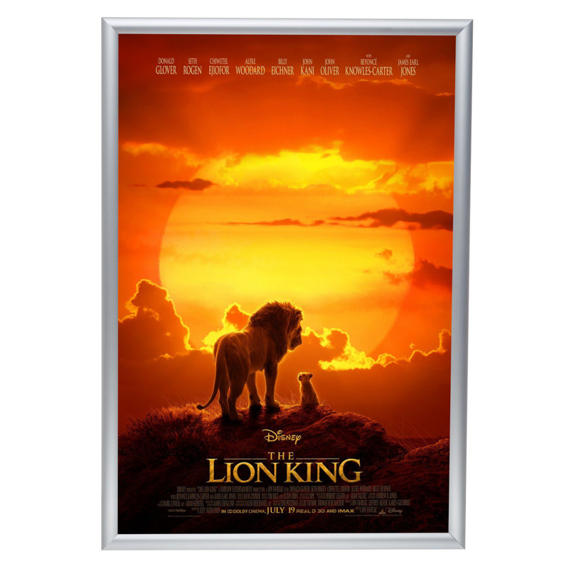 Silver Aluminum 24x36 Modern Poster Frame