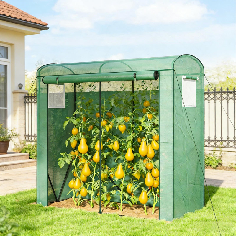 Serre stable, mini serre
