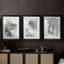 Mystical Objects I  -Custom Framed  Premium Print W Matt - 3 Pieces-2026486542-2026486536