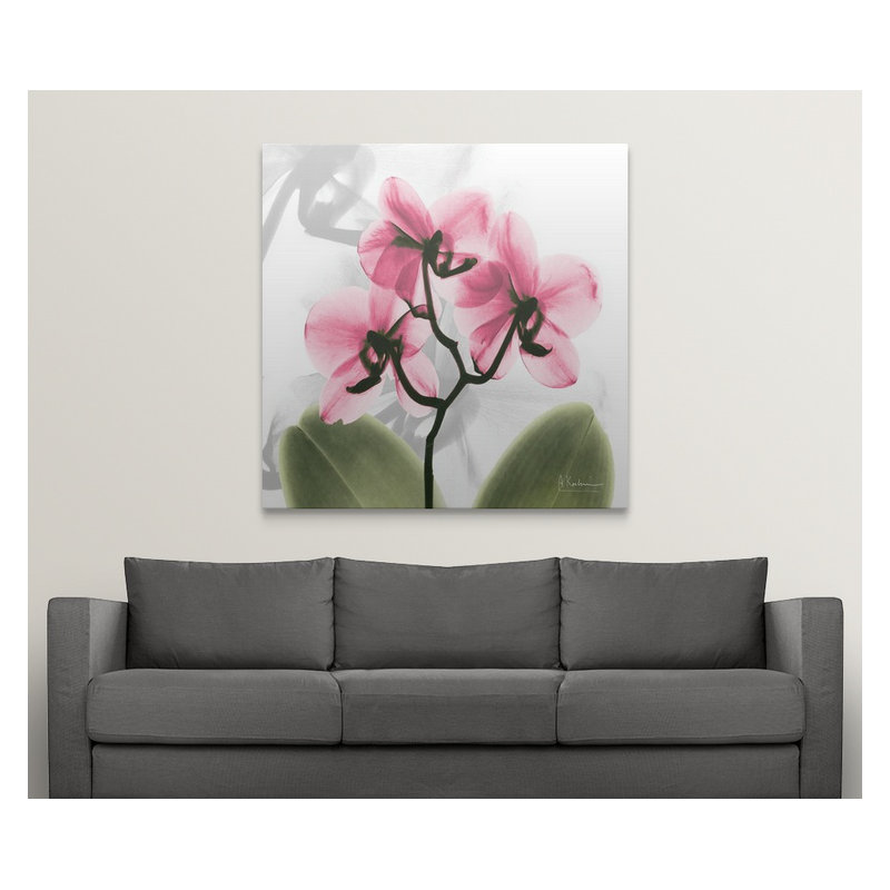 'Orchid X-Ray by Albert Koetsier Photographic Print, 35" H x 35" W x 1.5" D, Canvas