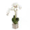 Three Sisters Real Touch Orchid Centerpiece in Pot