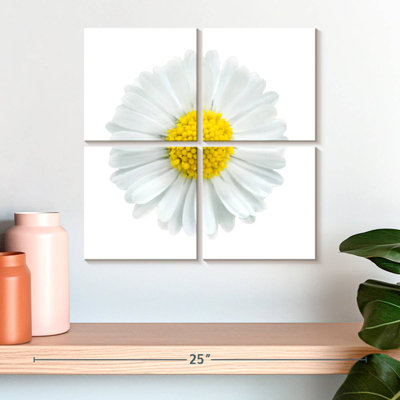 Fleur de camomille blanche Harnek
