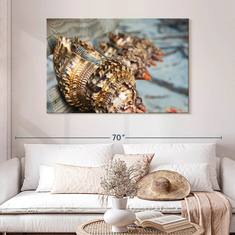 Ocean shells Aletra, H 32 po x l 48 po