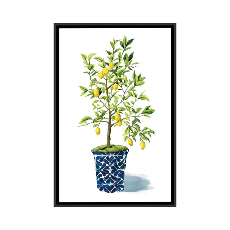 «Fruit Tree II», impression sur toile, H 26 po x l 18 po x P 1,5 po, Toile avec cadre noir, Pas de tapis
