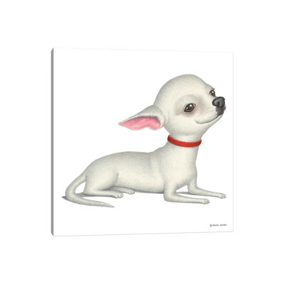 Chihuahua White by Danny Gordon - Wrapped Canvas Print