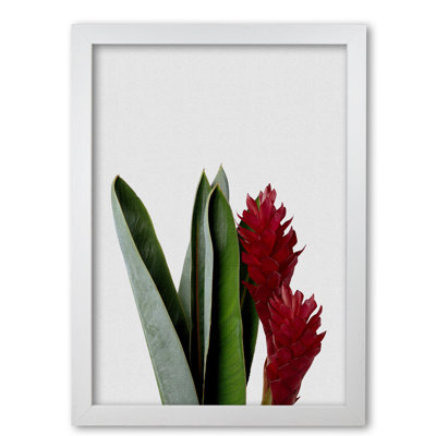 Red Flower - Print