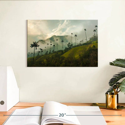 Vallée de Cocora brumeuse