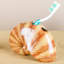 Porcelain Shell Toothbrush Holder