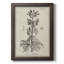 Toile encadrée de qualité supérieure antique noir et blanc botanique III - prête à être accrochée-73980689