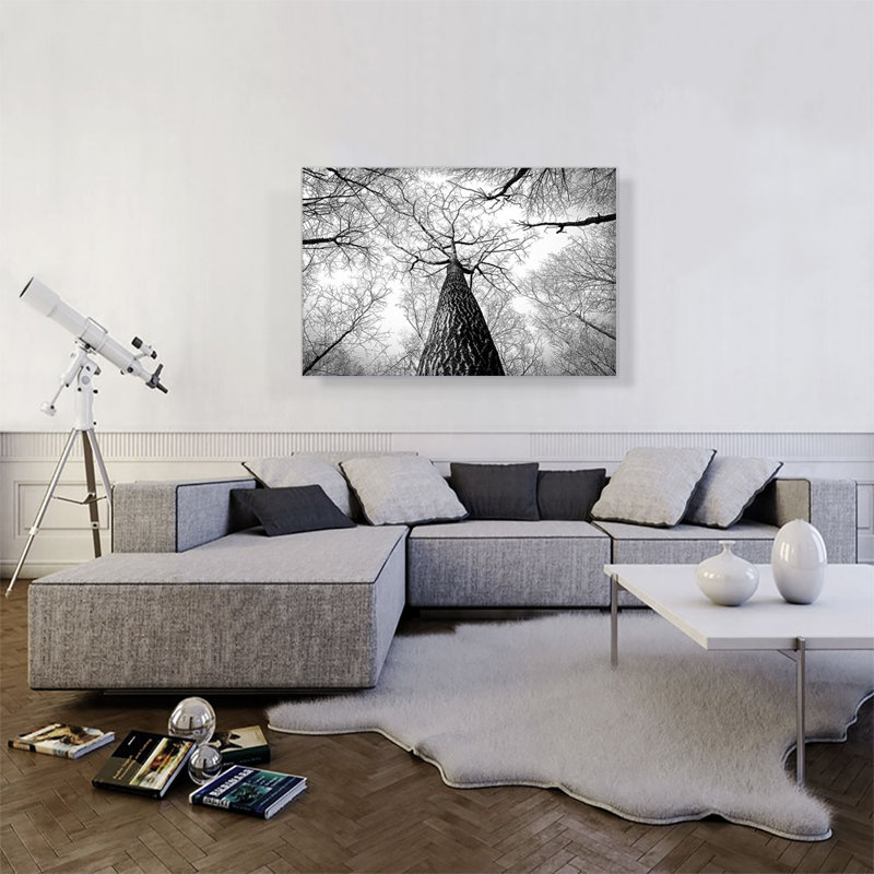 Tall Tree Branches Home Decor - Reproduction de photo sur toile tendue, H 26 po x l 40 po x P 0,75 po