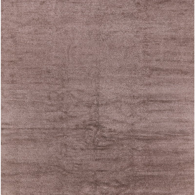 Oriental Indoor Rug