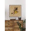 «Flowers Take Wing», reproduction encadrée-1656628806