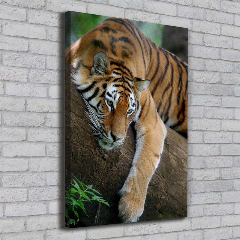 Tiger On The Tree - Wrapped Canvas Print