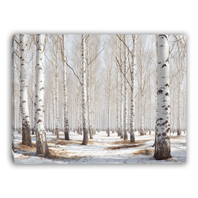 Golden Leaves Winter Birch Grove Wrapped Canvas Wall Art