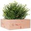 Amiela Planter Box-918828477-918828507