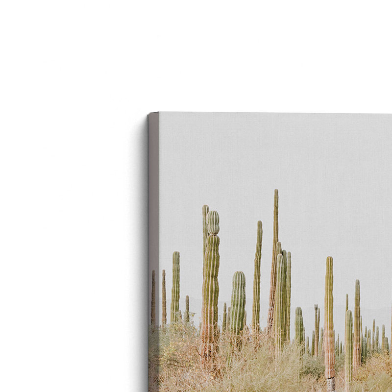 Desert Tranquility, Large Canvas Print, 36" H x 54" W