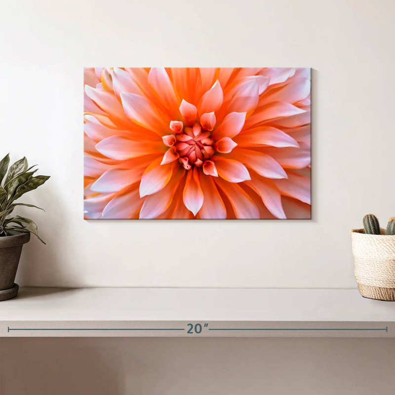 Fleur de dahlia orange blanc Harnek, H 8 po x l 12 po