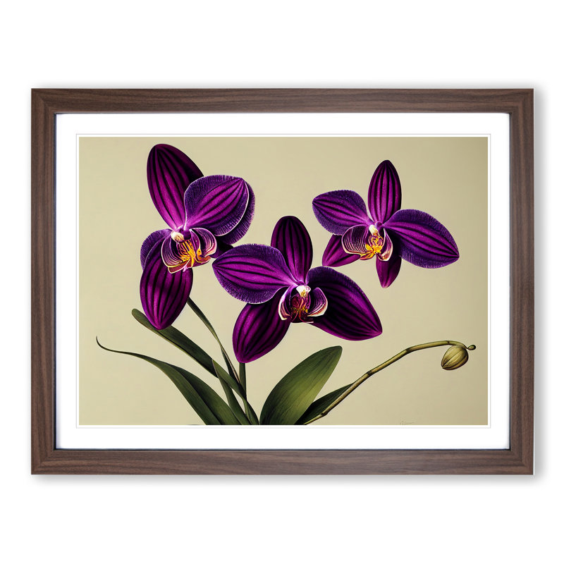 Elegant Orchid Flowers - Single Picture Frame Painting, 34cm H x 46cm W x 2cm D, Walnut