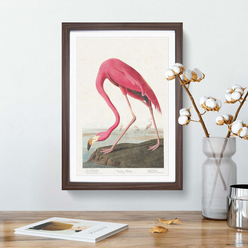 Pink Flamingo by John Audubon - Picture Frame Painting Print, 48cm H x 36cm W x 2cm D, Walnut Framed