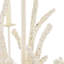 Coral Chandelier