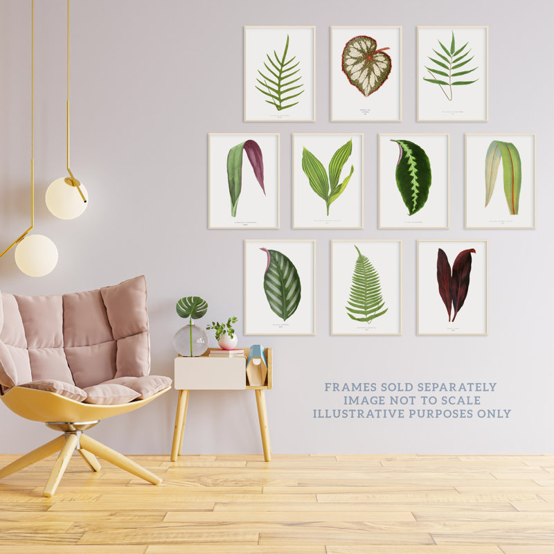 Bright Vintage Leaf Audubon Style Detailed Botanical Study - 10 Piece No Frame Print Set, 29.7cm H x 21 cm W x 0.4 cm D