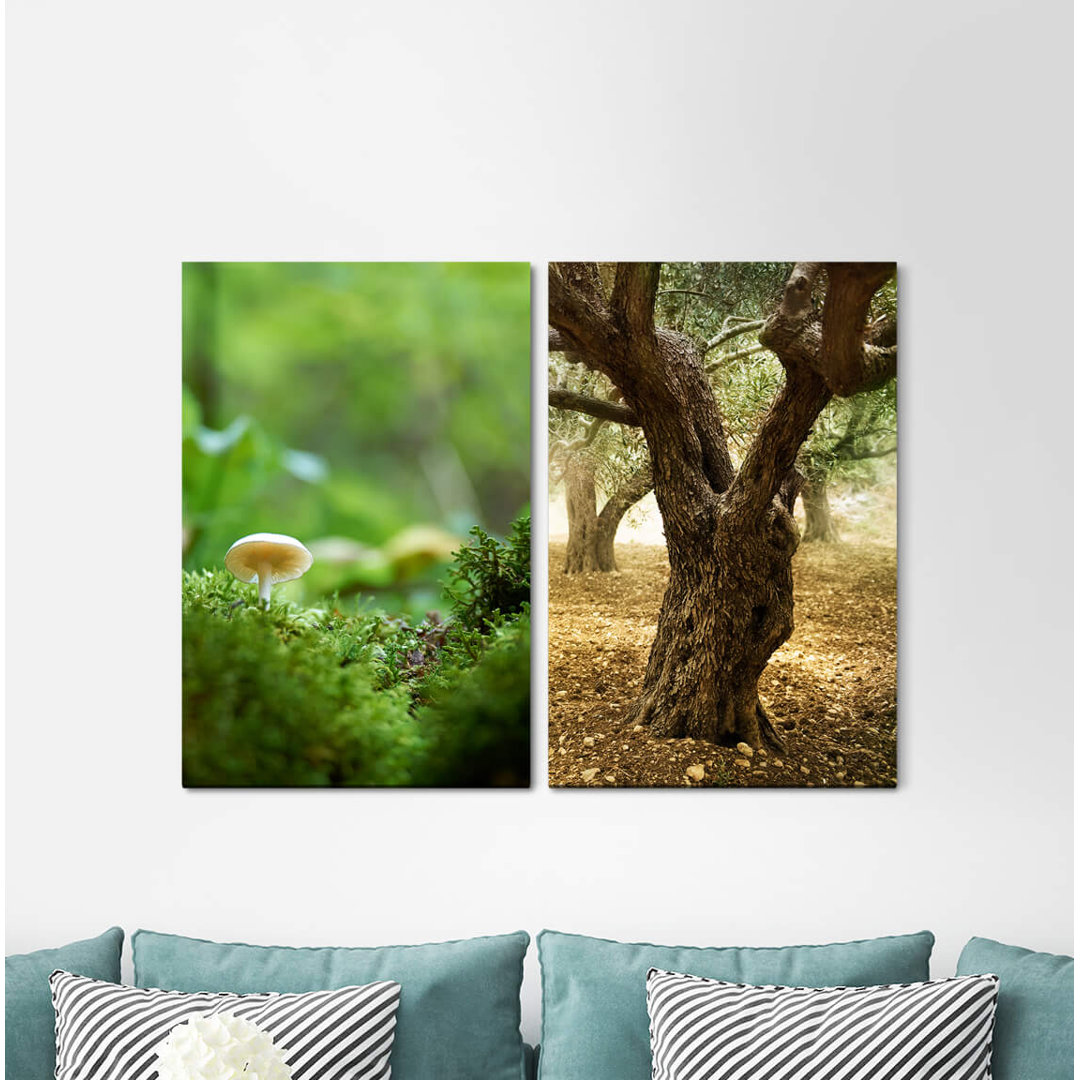 2-tlg. Leinwandbilder-Set - Fotografie „Mushroom Forest Old Tree Green Floor Nature”