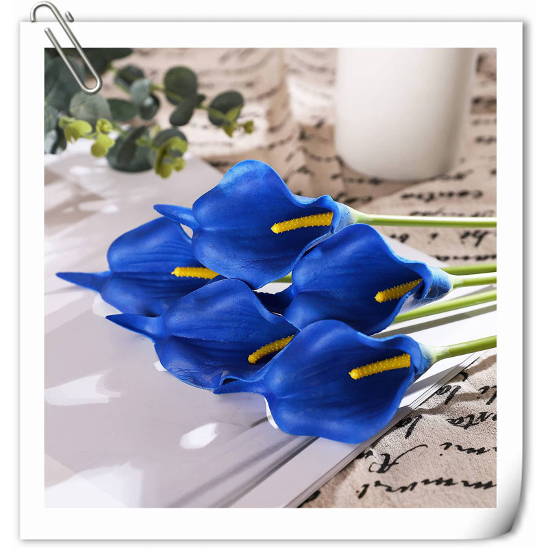 20 pièces de fleurs de lys Calla, Bleu foncé