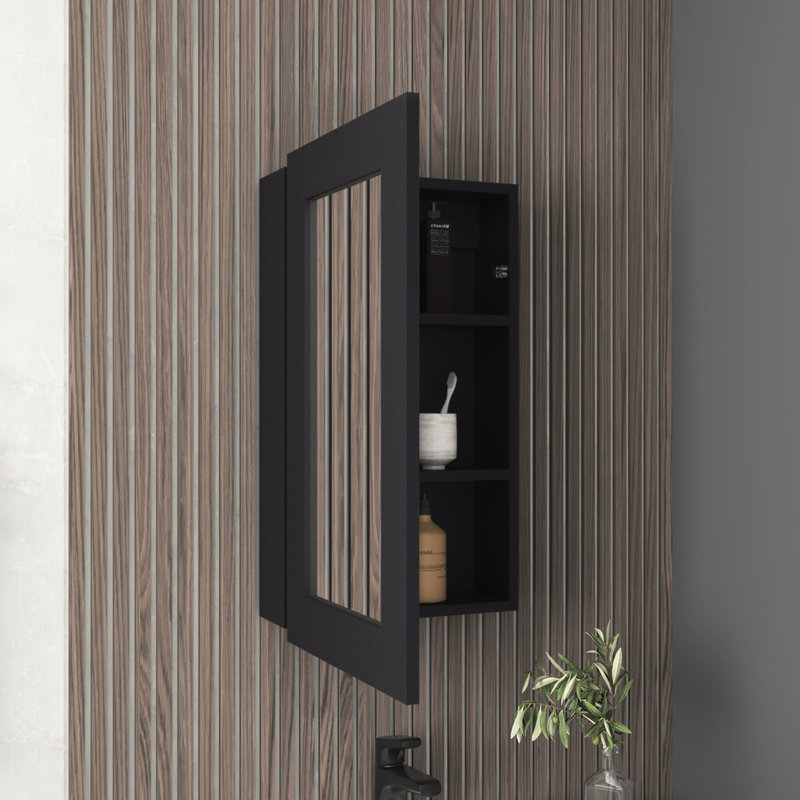 Armoire de salle de bain et de cuisine étroite de 25,7 po x l 15,7 po en noir - trois tablettes intérieures pour le rangement avec espace de rangement