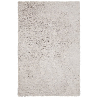 Salyers Performance Cotton Rug